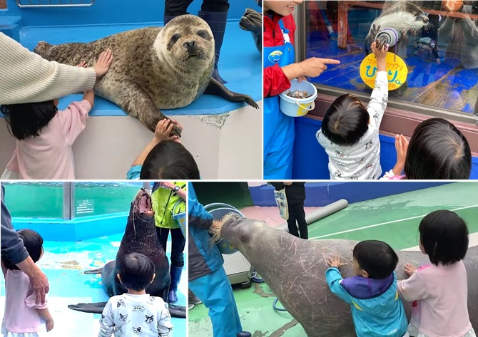 シーパラダイス2