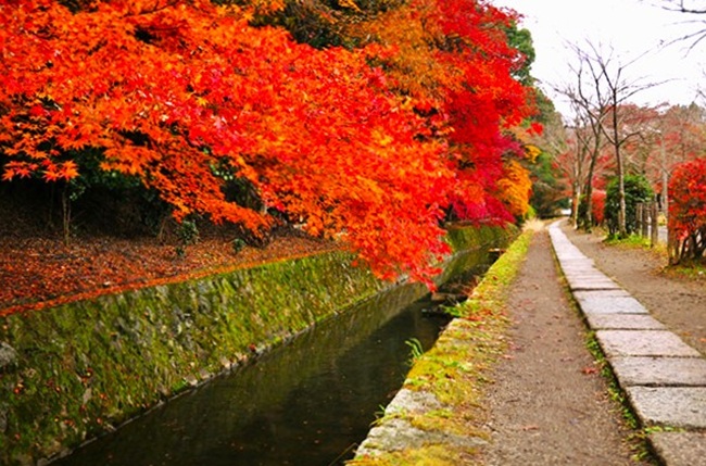 �g�t�̋G��