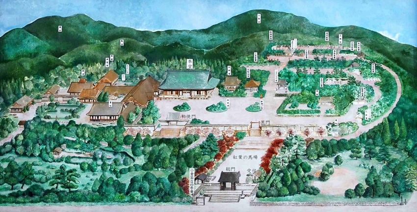 �񑸉@�����}�b�v